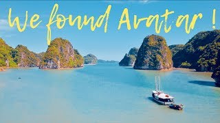 ONE DAY ON A PRIVATE BOAT