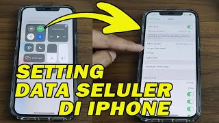 iPhone 4G & Mobile Data Not Working Fix iOS 13 ( How To FiXed  4G/LTE on iPhone 6,6s,6s ,7,8iPhone X