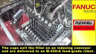 M 420iA Food Grade Robot Packing   FANUC Robotics Industrial Automation