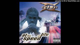 08. Xzibit - The Foundation