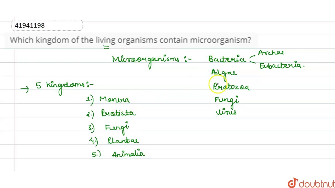 Which kingdom of the living organisms contain microorganism?