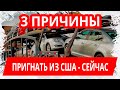 3 причины СРОЧНО пригнать Авто из США | GrandAutos