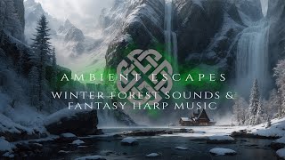 1 Hour of Fantasy Harp Music & Winter Forest Sounds | Relaxing Ambient Winter Forest