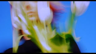 Pantis A Tarde Ceiba