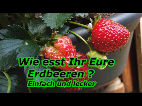 Video: Was wiegt ein Körbchen Erdbeeren?