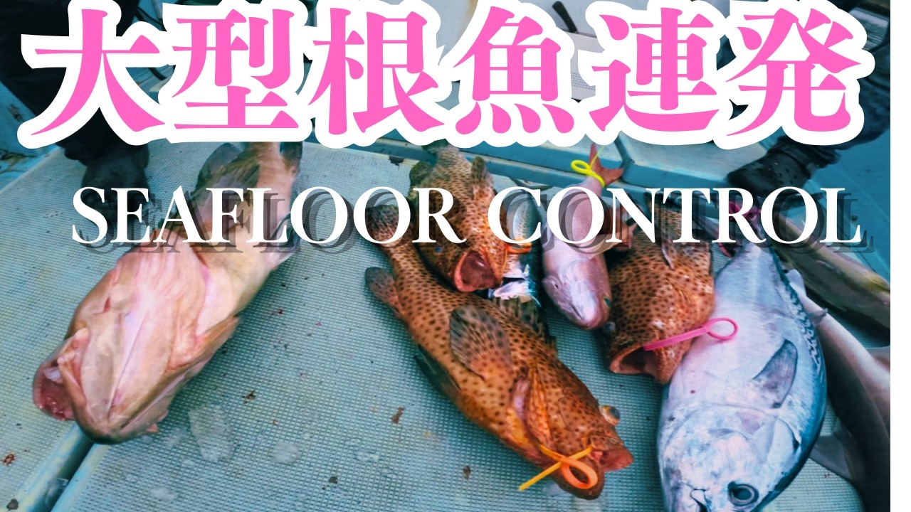 Slow Jigging] A whirlwind fishing trip to Amami with just two