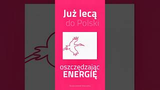 Już lecą do Polski i… oszczędzają energię #bocian #ciekawostki