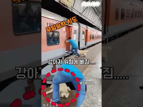 무책임한 행동에 강아지 위기… 이런 사람 애완견 키우면 안 된다!