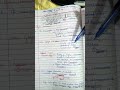Polytene chromosomes