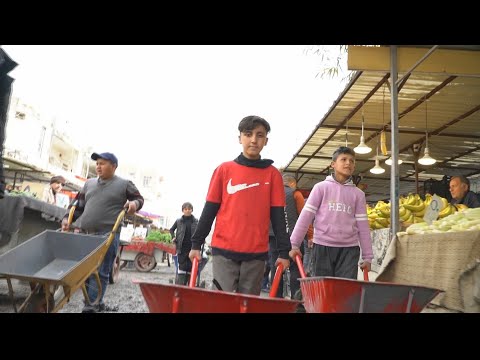 زيادة أعداد الأطفال المنخرطين في سوق العمل بإقليم كردستان