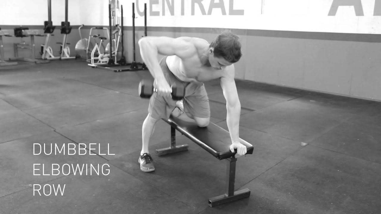 Dumbbell Elbowing Row YouTube