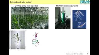 LEPSE, François Tardieu - Which information from phenotyping can be used for breeding ?