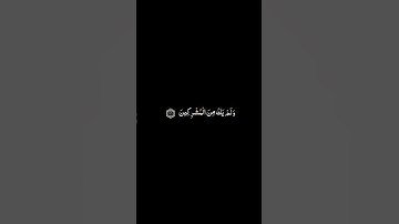 كرومات القرآن الكريم | ياسر الدوسري - سورة النحل ١٢٠ - ١٢٢ | #ملون