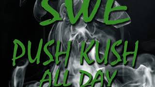 Kill kill push kush