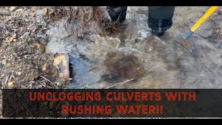 UNCLOGGING CULVERTS WITH TONS OF LEAF FALL AND WASHED OUT ROADS 03/2024