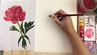 watercolor peony simple tutorial