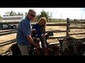 Visiting with Huell Howser: Goat Farm