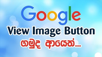 Google View Image Button Again (Sinhala)