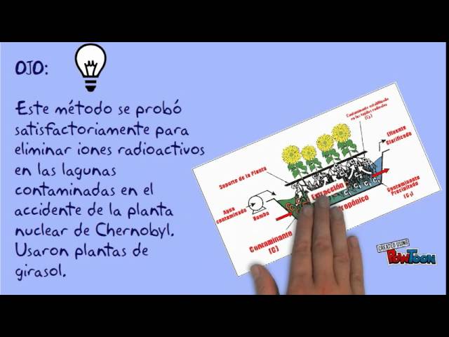 Fitorestauración Parte 1