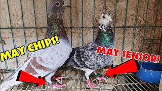 Download Lagu Eto na! Puro QUALITY na to! MP3