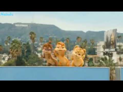 Chimpmonkey - YouTube