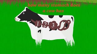 Cow cartoon for kids | information about Cow in animation | Cartoon & Nursery Rhymes| face about Cow