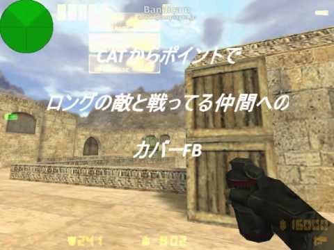 D2 CT用CATFB