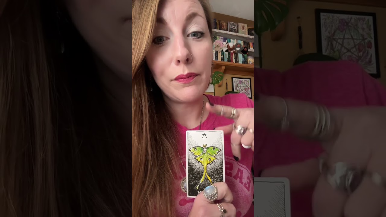 How are the currently feeling about this connection? 💕💕Timeless LOVE Reading 💕💕