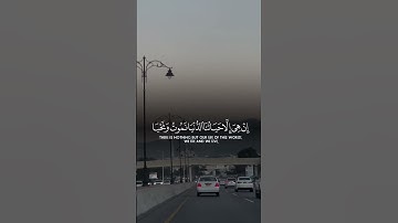 وَلَئِنْ أَطَعْتُم بَشَرًا مِّثْلَكُمْ |سورة المؤمنون~الآية34~القارئ الشيخ #ياسر_الدوسري ~🎧🤍