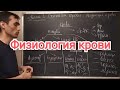 Физиология. 44 тема. Система крови. Общая характеристика. Функция крови.