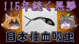 [Slow commentary] The horror of the endemic disease 'Schistosomal japonicum' that has lasted for ...