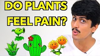 Do Plants Feel Pain?