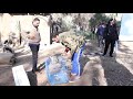 محمد إمام #هوجان مع القرد فوزي