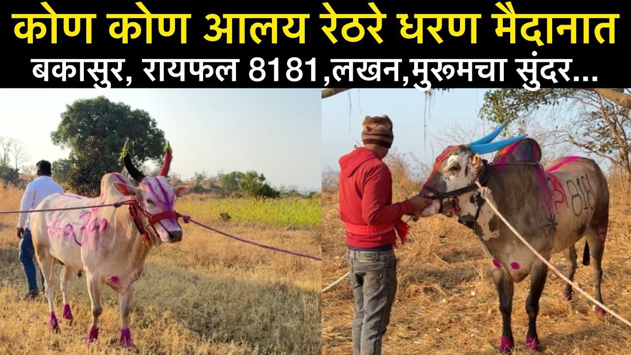 कोण कोण आलय रेठरे धरण मैदानात 