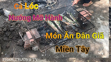Cá Lóc Nướng Mỡ Hành Món Ăn Dân Giã Miền Tây-Hương Vị Đồng Quê _ PHẠM TRƯỜNG TV
