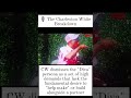 Charleston White: The Difference Between a "Diva" and God’s Woman ✨🙏