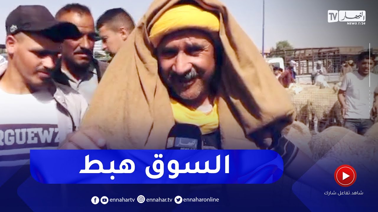 موال من سوق البيرين.. هذوا الكباش بعتهم في الزريبة بـ 9 ملاين ونصف،و في السوق عطاوني 8 ملايين