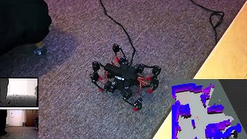Hexapod Demo