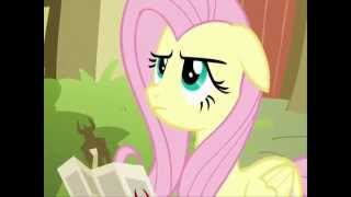 Fluttershy - I'm never gonna be a pushover again!
