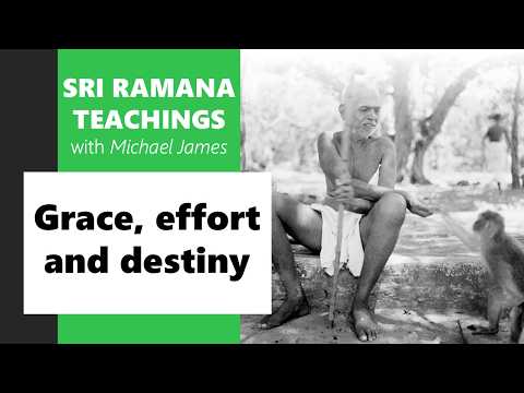 2026-05-10 San Diego Ramana Satsang: Grace, effort and destiny