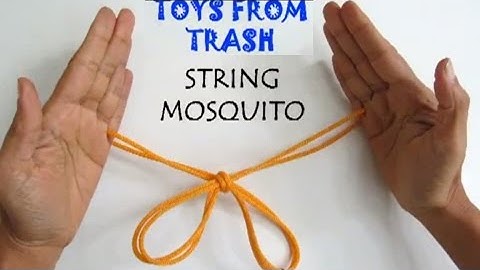 STRING MOSQUITO - ENGLISH - 6MB