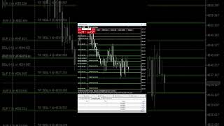 ONE PROTOCOL. $100 TO $8000+ Day 2  #trading #strategy  #bestgoldforexsignals  #forex #gold
