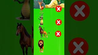 vfx magic toon #shortvideo#funny #vfx #cartoon #animation