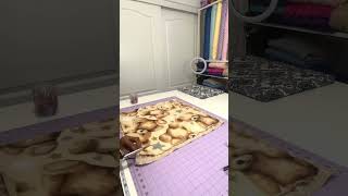 Teddy Bear Minky Rose Baby Blanket