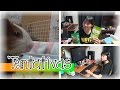Saiu! - Meu Dia Comum