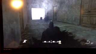Wild dog glitch cod mw 4