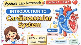 💖📚 Human Anatomy II | BMLT| Lecture 1Topic: Introduction to Cardiovascular System