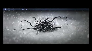 Need For Speed Most Wanted - Shut-Down - Most Wanted Number 1