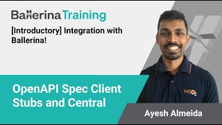 OpenAPI Spec Client Stubs and Central | Ballerina Programming Language Wealth
