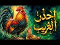 عنادل ضيف غريب كيف استولى على الدار الديك الهندي والدجاج البلدي لأمير الشعراء أحمد شوقي